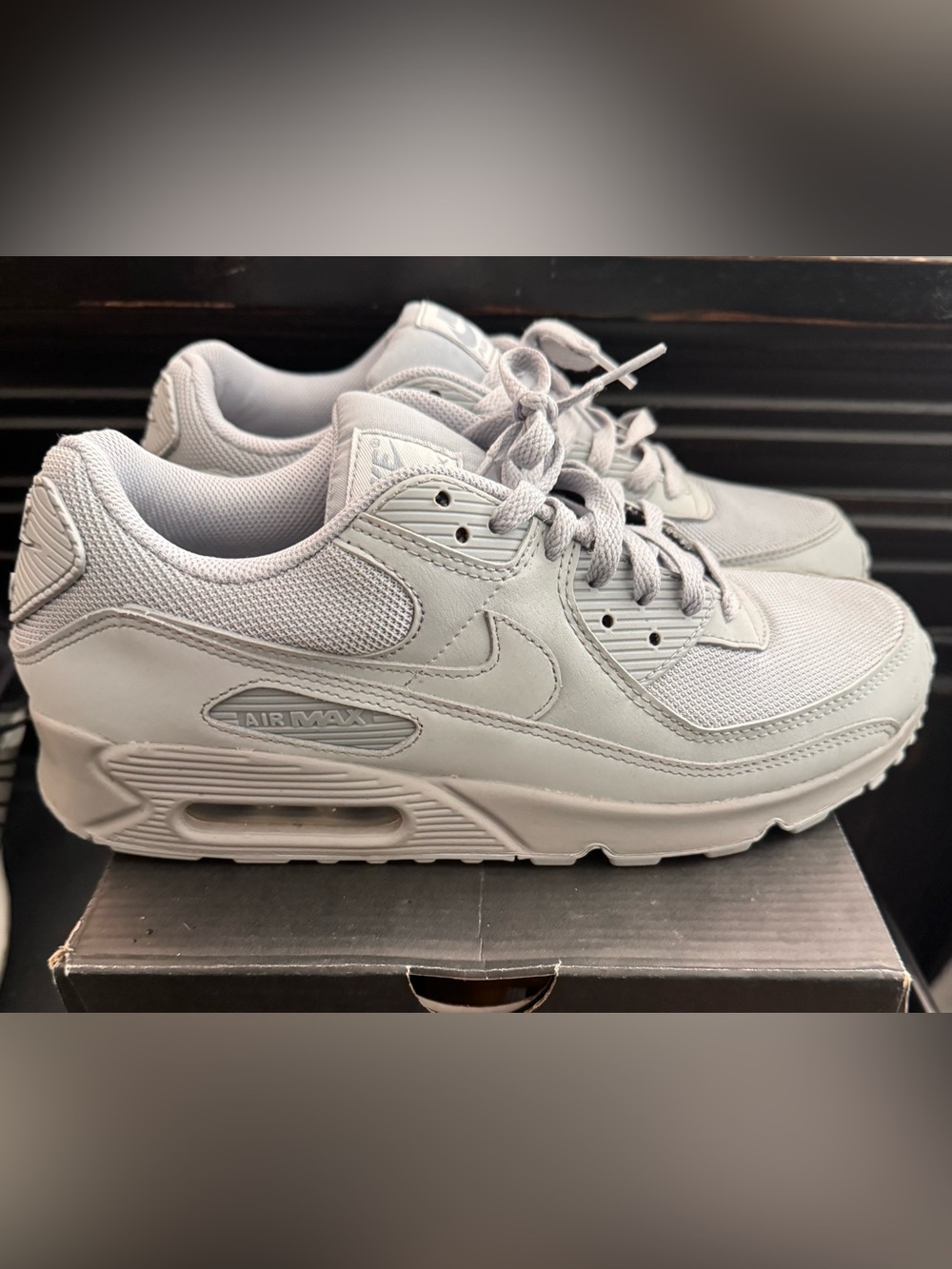Nike Air Max 90 Sneakers in Light Grey